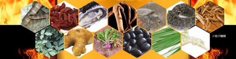 EDITAL EX(�G�f�B�^��EX)���T�C�g